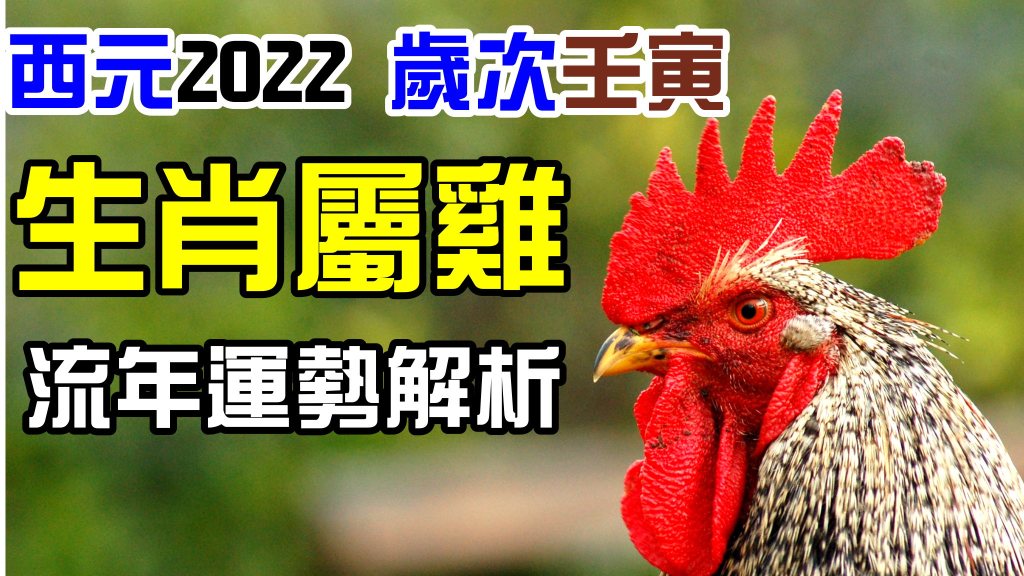 2c0de64a045739d52c5c5a31a6c11940