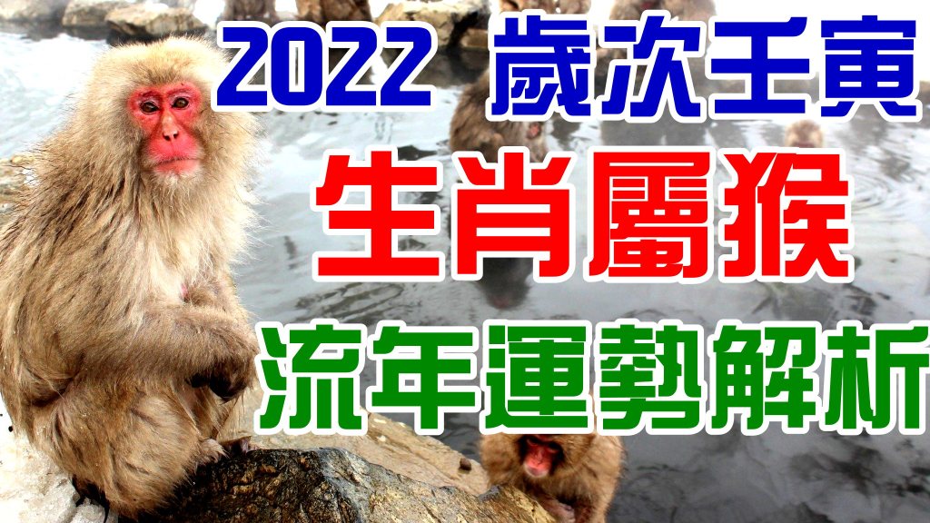 e13cb992a56d97c056748c5d8a5a93db