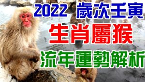e13cb992a56d97c056748c5d8a5a93db